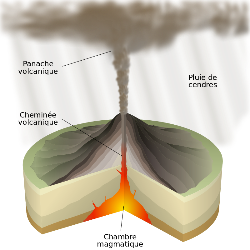 https://magoerevision.com//volcan/Plinian_Eruption.png