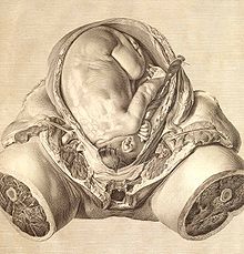 220px-Pregnancy_by_Jan_van_Riemsdyk_and_William_Hunter.jpg