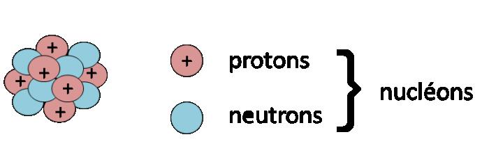 De quoi se compose la noyau atomique?