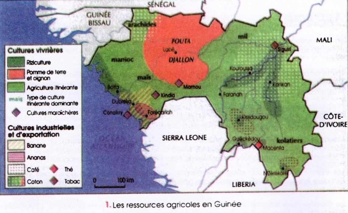 La R publique De Guin e L agriculture la-r-publique-de-guin-e-l-agriculture