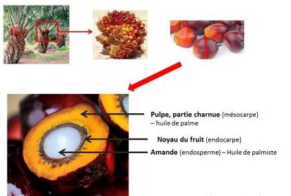 imgUpload/imageExosMatiereurl_copy_chapitre_162temps1591958835.png