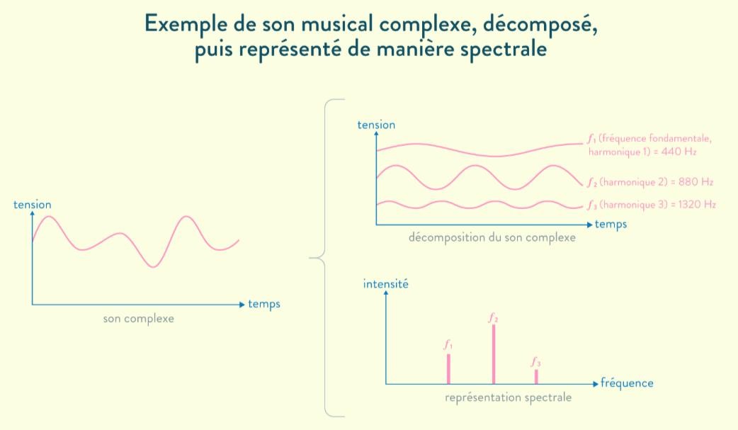 son complexe décomposition fréquence fondamentale harmonique