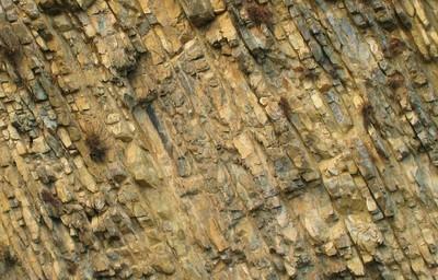 strates marno-calcaires (Vercors, Diois)