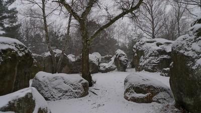 les blocs de Fontainebleau en hiver