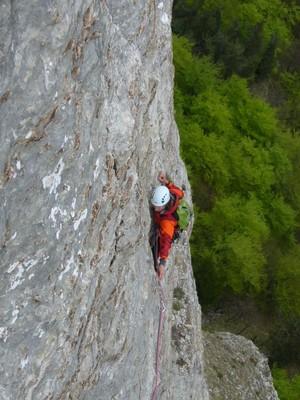 L2 de Parfum d'Opale aux Trois-Becs (Saoû, Drôme)