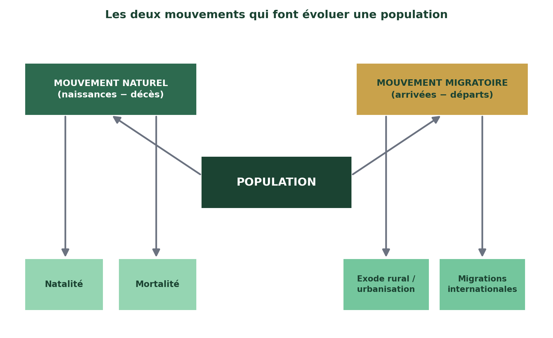 https://magoerevision.com/nosCours/12eme_sm/geographie/img/lecons/lecon_4123/img_3.png