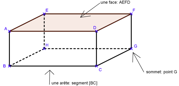 pave_pespective_cavaliere