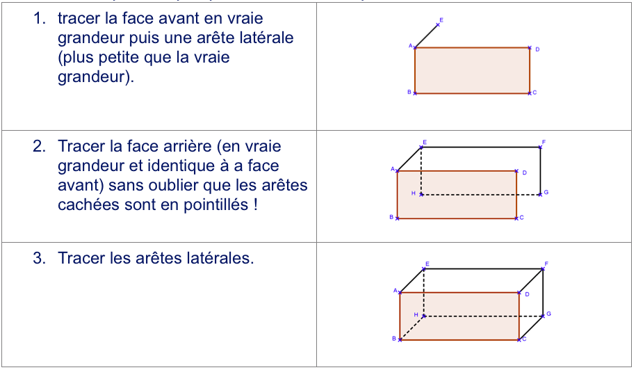perspective_cavaliere